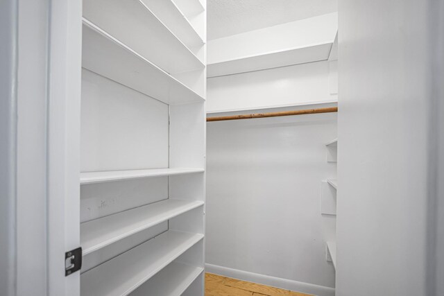 spacious closet with hardwood / wood-style floors