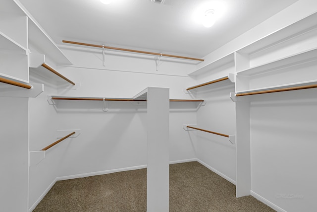 spacious closet with carpet