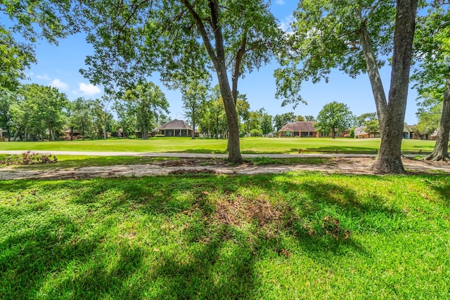 view of home's community featuring a yard