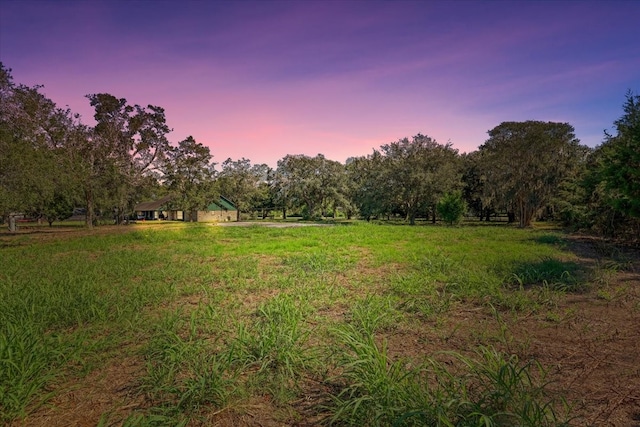 802 Bolivar Ave, Anahuac TX, 77514 land for sale