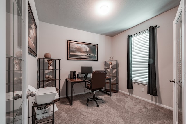 carpeted office space with a textured ceiling