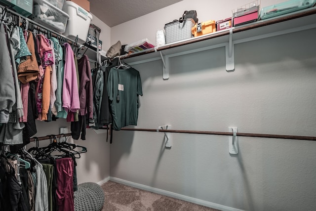 walk in closet featuring carpet