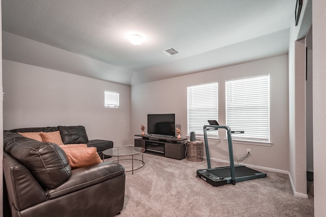 exercise area with carpet floors and a textured ceiling