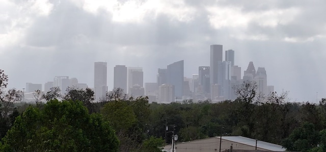 3210 Cushing St, Houston, TX 77026 - photo 4