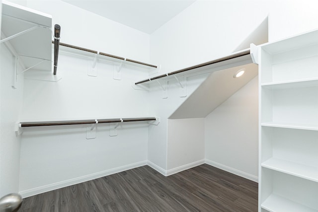 spacious closet with dark wood-type flooring