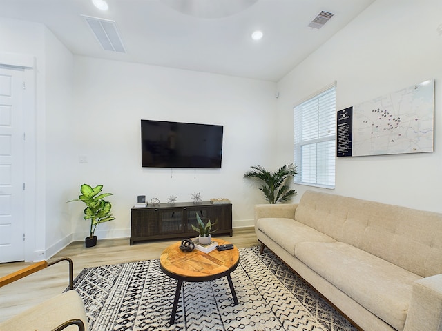 living room featuring wood-type flooring