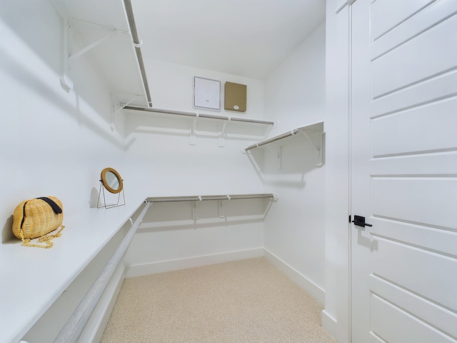 walk in closet featuring light carpet