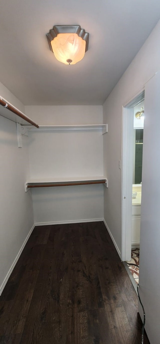 walk in closet featuring dark hardwood / wood-style flooring