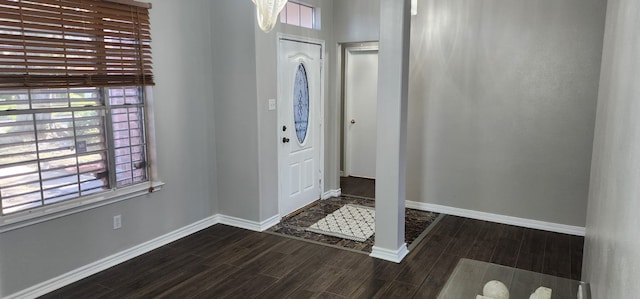 entryway featuring dark hardwood / wood-style flooring and plenty of natural light