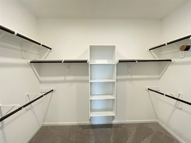 walk in closet with carpet