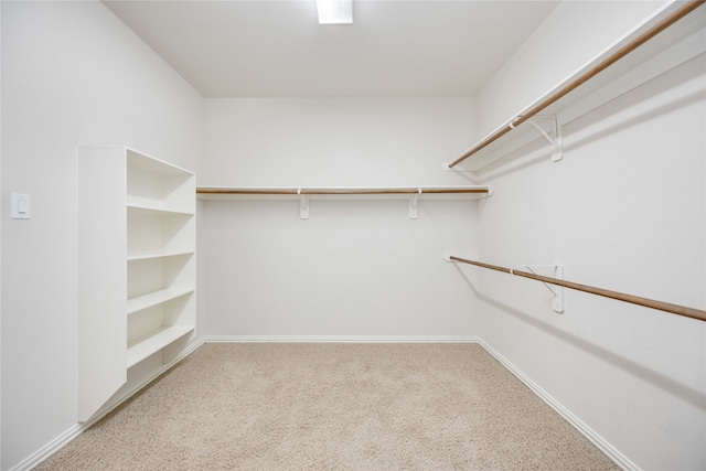 spacious closet featuring carpet floors