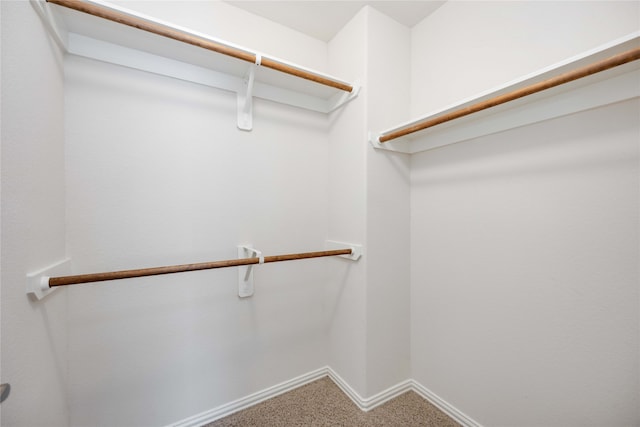 spacious closet with carpet floors