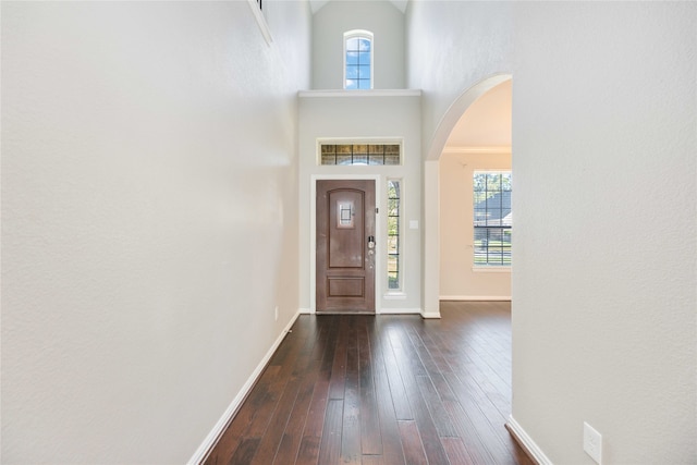 foyer featuring a healthy amount of sunlight, dark wood-type flooring, and a high ceiling