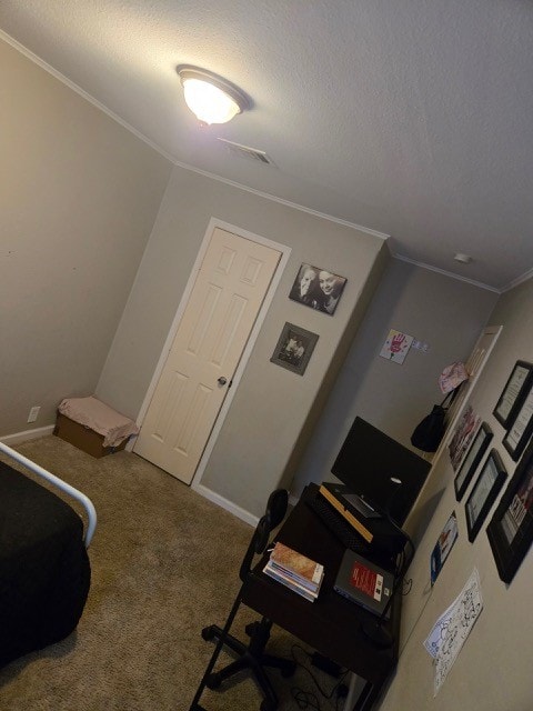 interior space with a textured ceiling, carpet floors, and ornamental molding