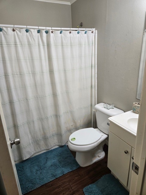 bathroom with vanity, wood-type flooring, and toilet