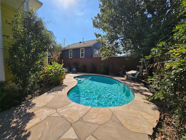 view of swimming pool with a patio