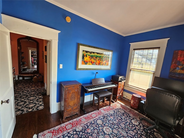 office space with dark hardwood / wood-style floors and crown molding