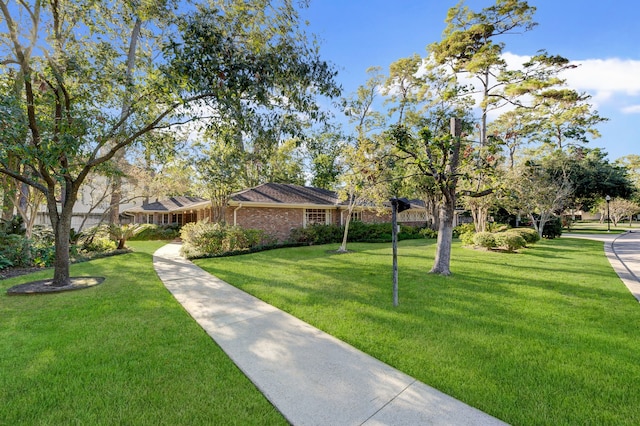 view of community featuring a yard