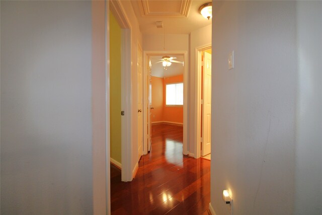 hall featuring dark wood-type flooring