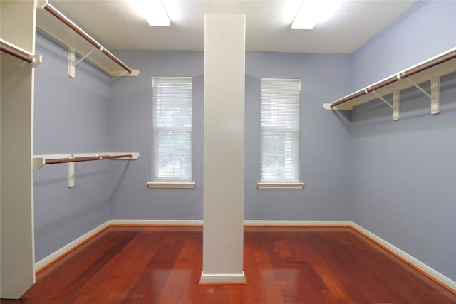 spacious closet featuring dark hardwood / wood-style flooring