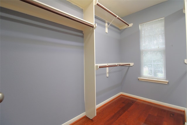 spacious closet with wood-type flooring