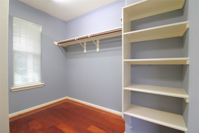 walk in closet featuring hardwood / wood-style flooring