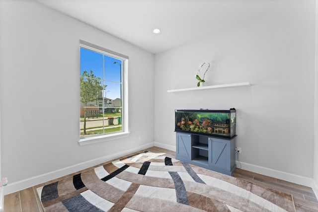 interior space with wood-type flooring