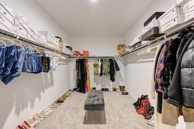 spacious closet featuring carpet