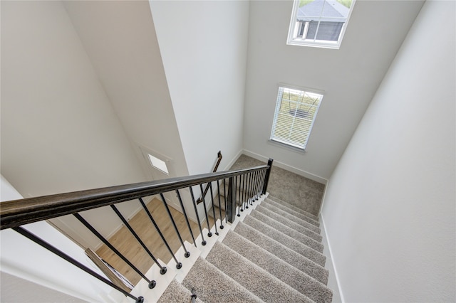 staircase with carpet