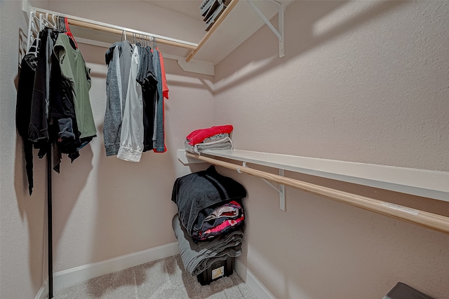 walk in closet with carpet floors