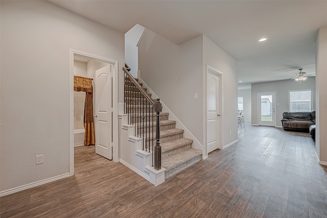 stairway featuring ceiling fan and hardwood / wood-style flooring