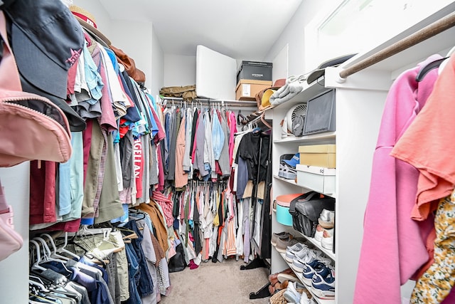 walk in closet featuring carpet floors