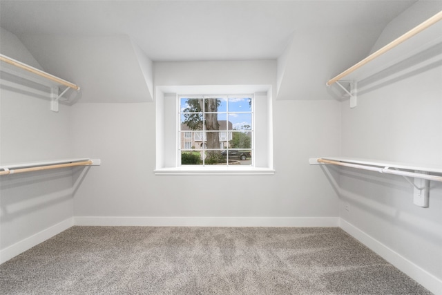 spacious closet featuring carpet flooring and lofted ceiling