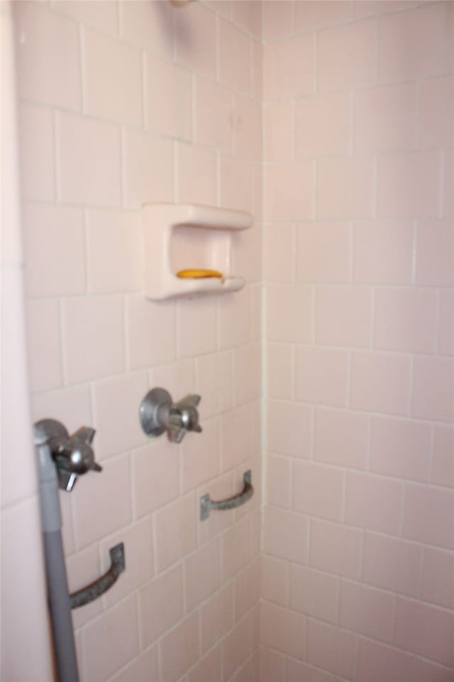 bathroom with a stall shower