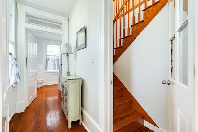 staircase with hardwood / wood-style flooring