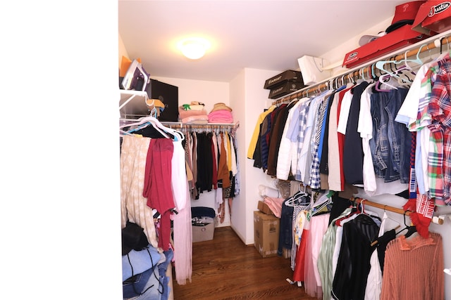 walk in closet featuring dark wood-type flooring