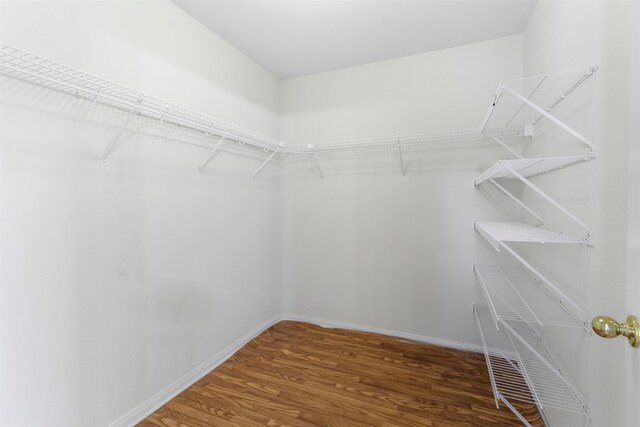 spacious closet with hardwood / wood-style floors