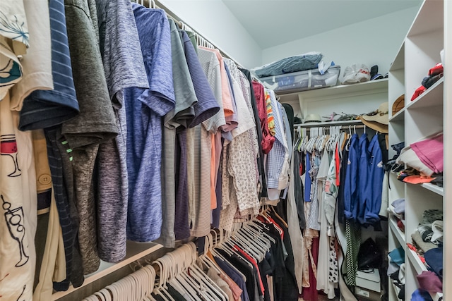 view of spacious closet