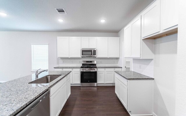 13101 Sapphire Lake Ln, Texas City, TX 77568 - kitchen with stainless steel appliances, a sink, light stone countertops, tasteful backsplash, and dark wood-style flooring
