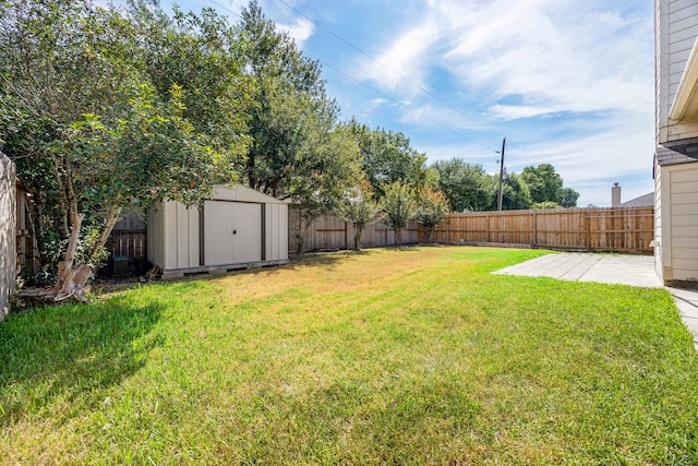 view of yard featuring a patio area and a storage shed