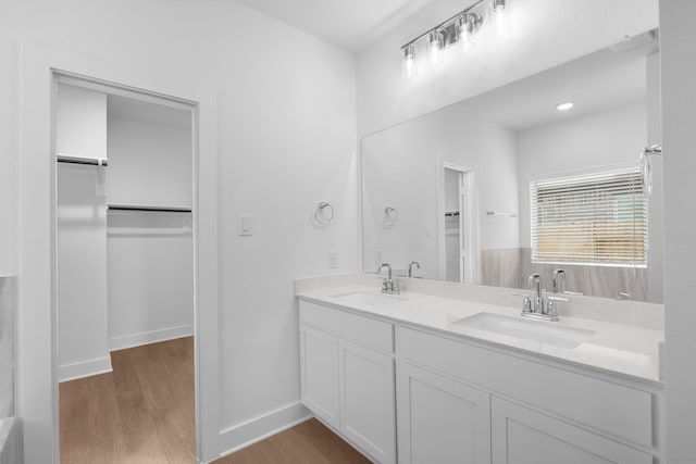 bathroom with a sink, a walk in closet, and wood finished floors