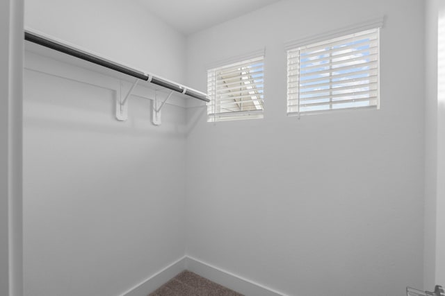 spacious closet featuring carpet flooring