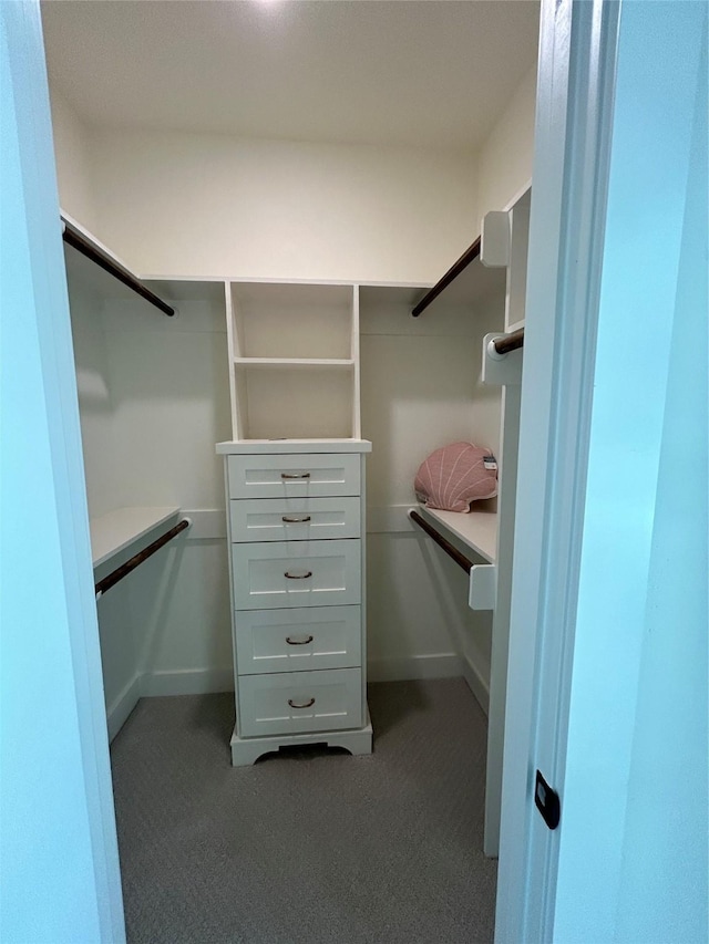 walk in closet featuring dark colored carpet