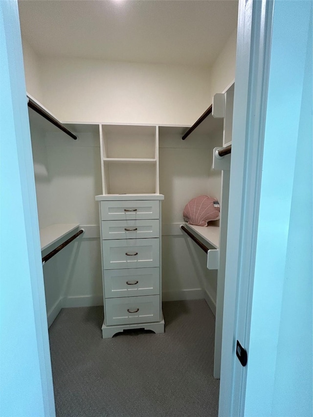 874 Bonita, Bayou Vista, TX 77563 - walk in closet featuring carpet flooring