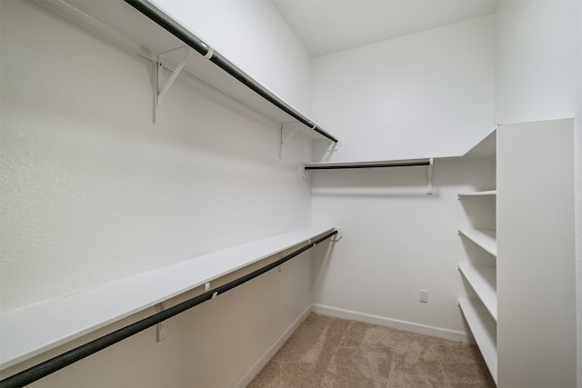 walk in closet with light colored carpet