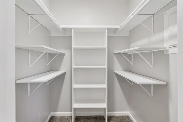 1611 Cantrell Blvd, Conroe, TX 77301 - spacious closet with carpet