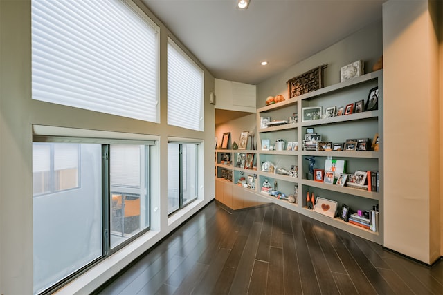 interior space with dark hardwood / wood-style flooring and a healthy amount of sunlight