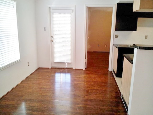 kitchen featuring dark wood-type flooring