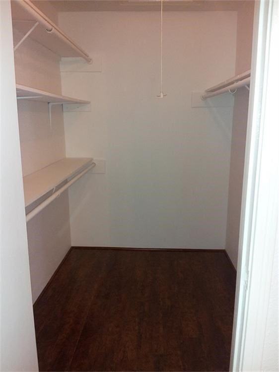 spacious closet with dark wood-type flooring