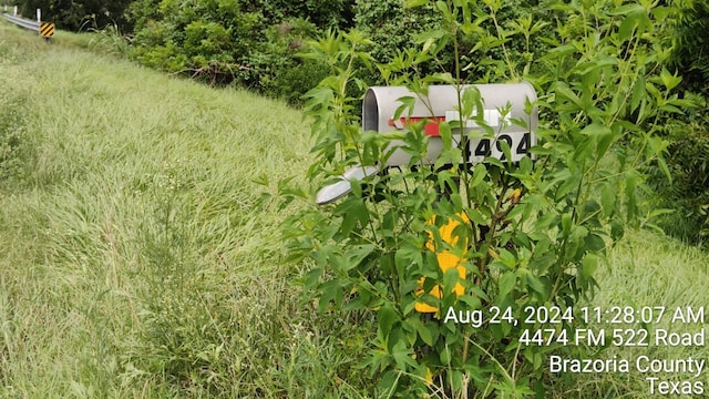4494 Fm 522nd Rd, Brazoria, TX 77422 - photo 1